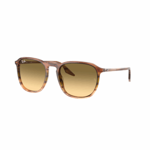 RAY-BAN - 2203 SOLE