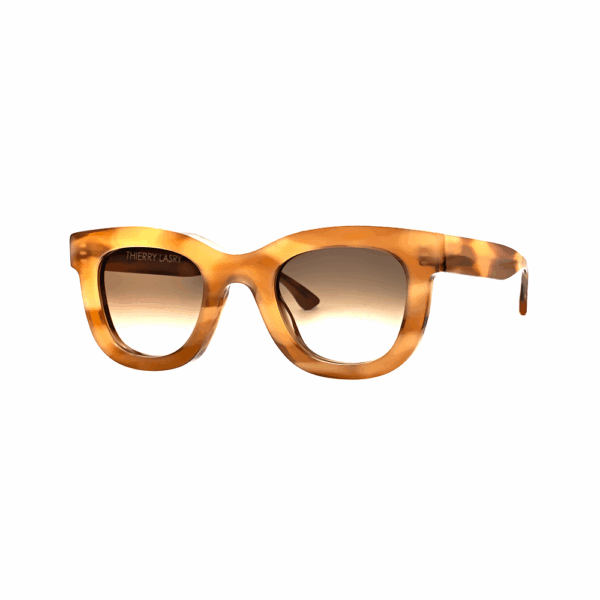 THIERRY LASRY - GAMBLY