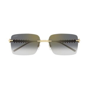 CARTIER - CT0545S