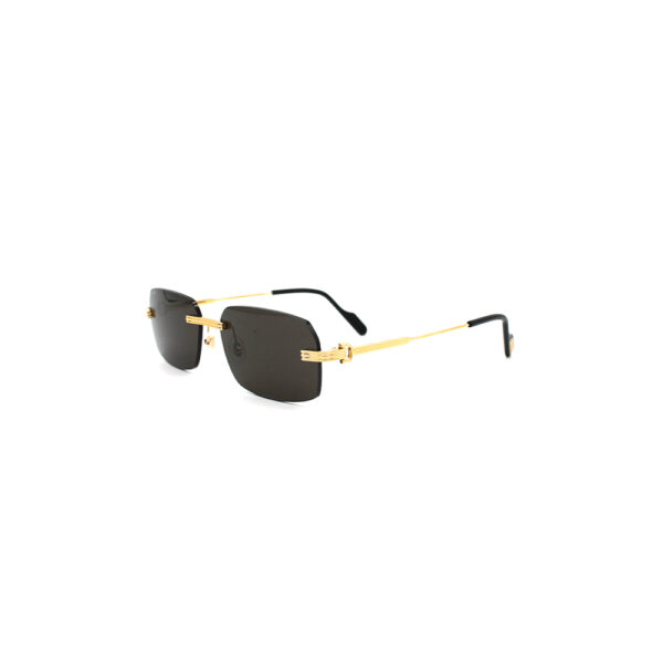 CARTIER - CT0271S