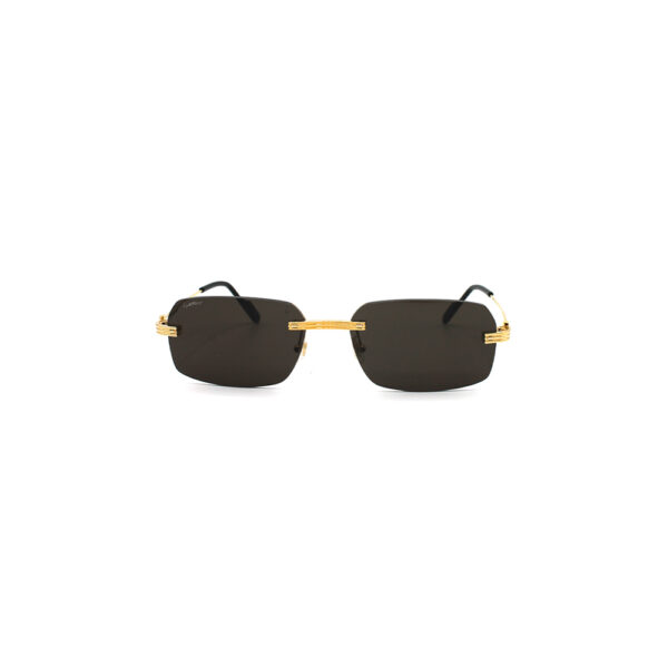 CARTIER - CT0271S - immagine 2
