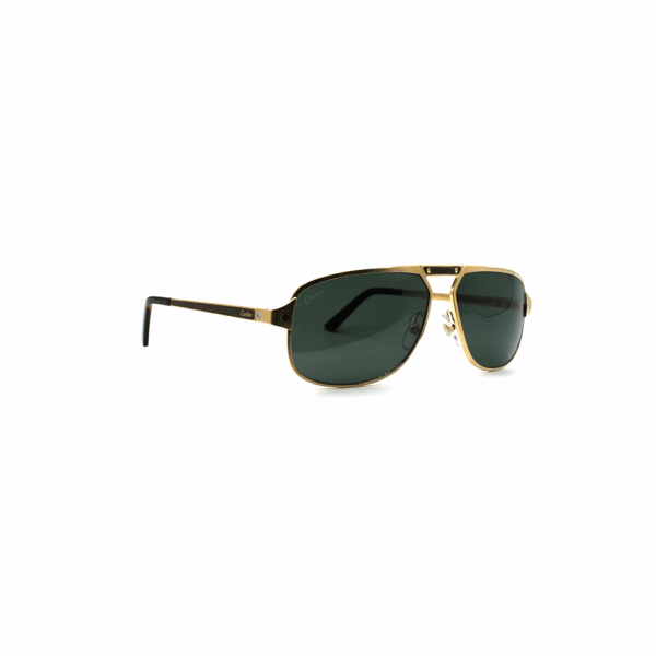 CARTIER - CT0102S - immagine 2