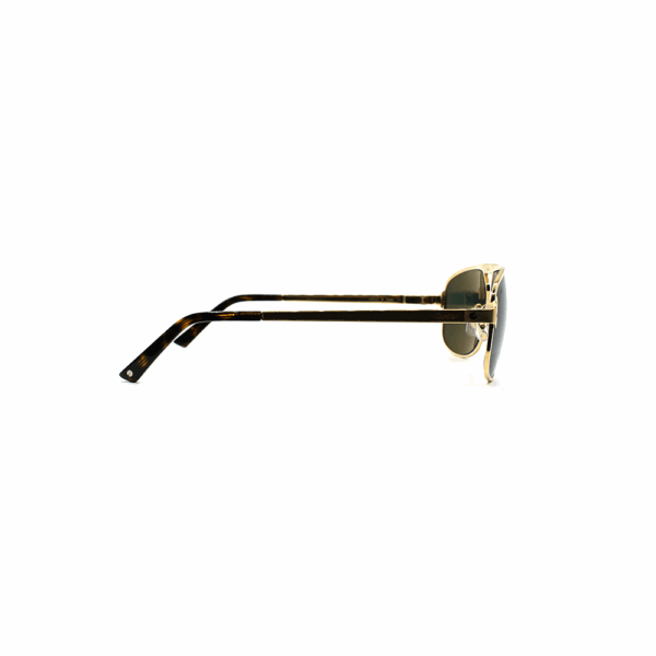 CARTIER - CT0102S - immagine 3