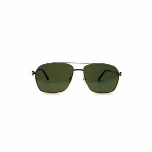 CARTIER - CT0306S