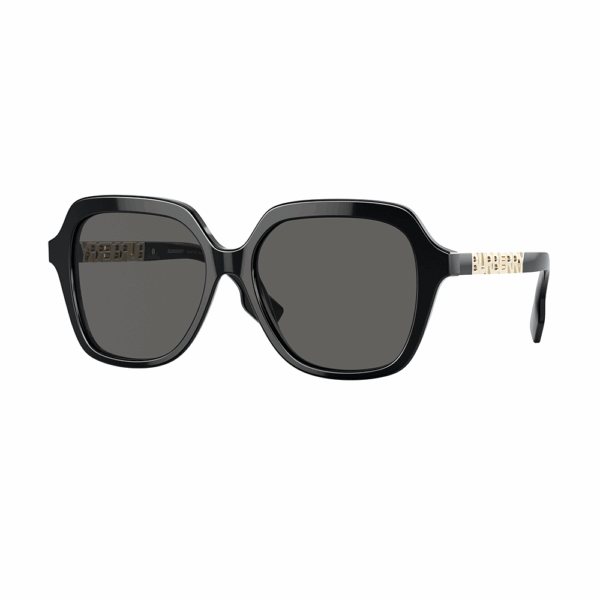 BURBERRY - 4389