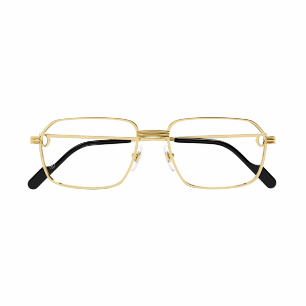 CARTIER - CT0445O - immagine 2
