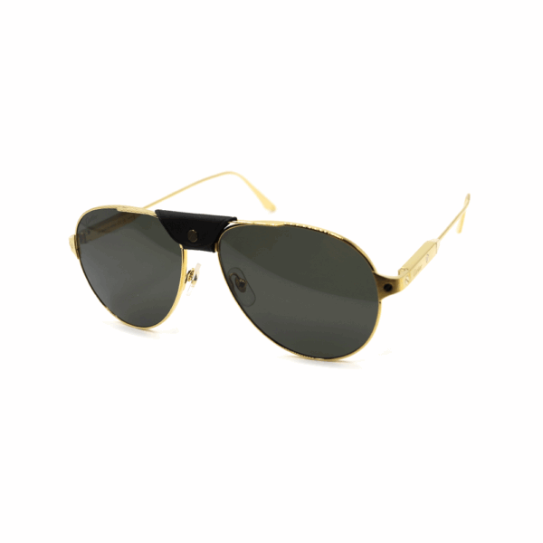 CARTIER - CT0387S