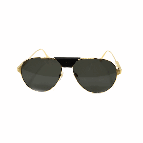 CARTIER - CT0387S - immagine 2