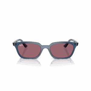 RAY-BAN - 4456 SOLE