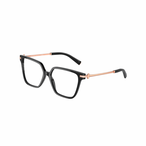 TIFFANY & CO. - 2234B VISTA