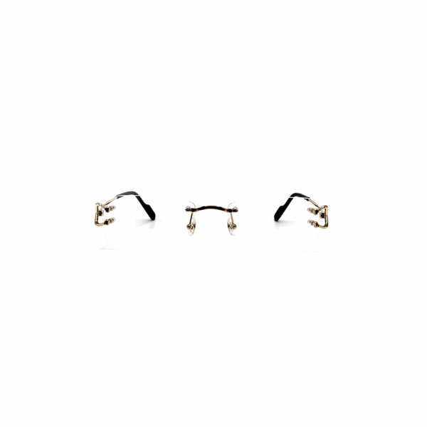 CARTIER - CT0344O