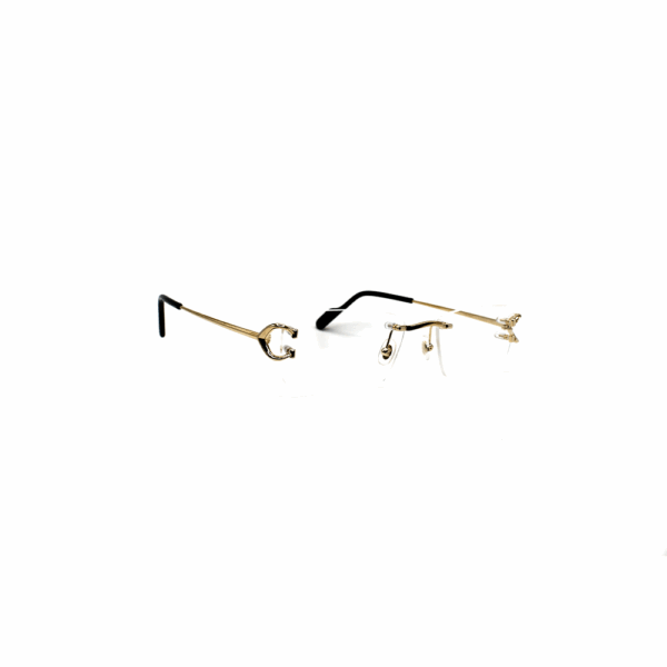 CARTIER - CT0344O - immagine 2