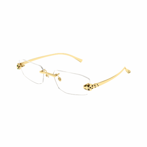 CARTIER - CT0494O